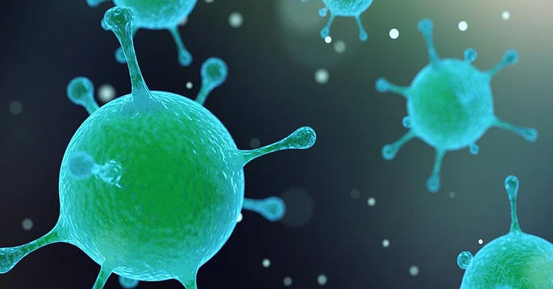 coronavirus