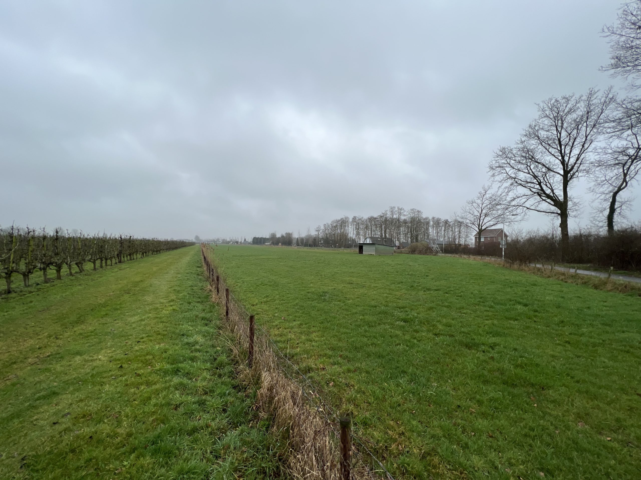 Eck en Wiel E 275